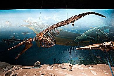 《究极大越野：传奇》新DLC加入GASGAS摩托车