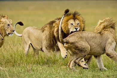 全亚洲首次 Nintendo Switch™ BL 游戏繁体中文化！《东京24区 -祈-》正式登场